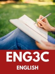 Grade 11 English image 