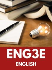 Grade 11 English image 