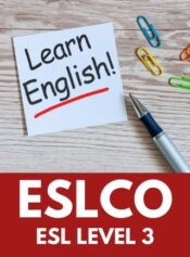 Level 3 English as a Second Language image 
