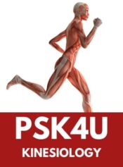 Grade 12 Kinesiology (Upgrade) image 