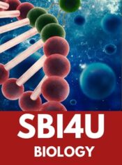 Grade 12 Biology (Upgrade) image 